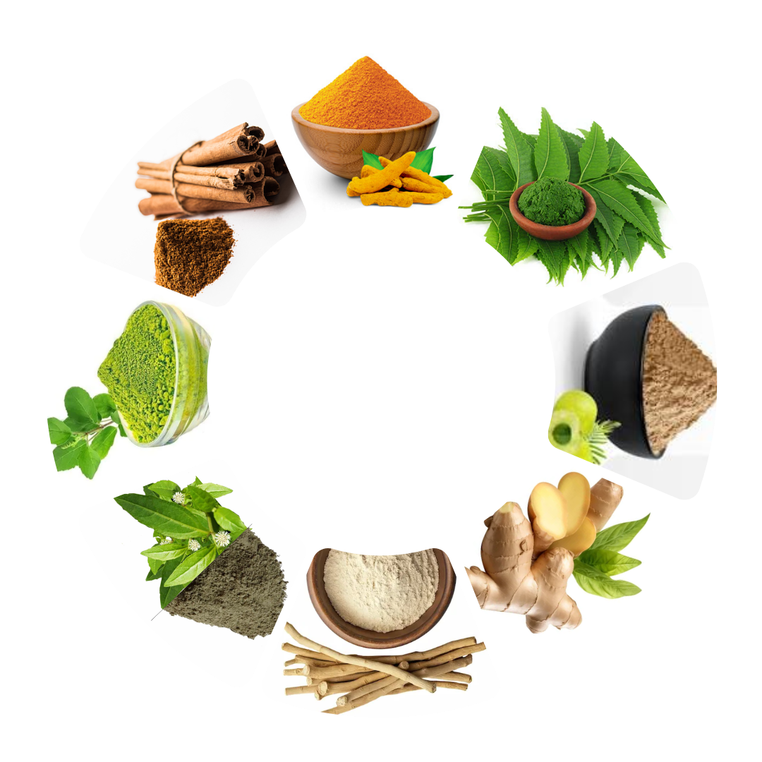 Ayurveda Ingredients